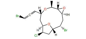 (12S,13S)-Epoxyobtusallene IV